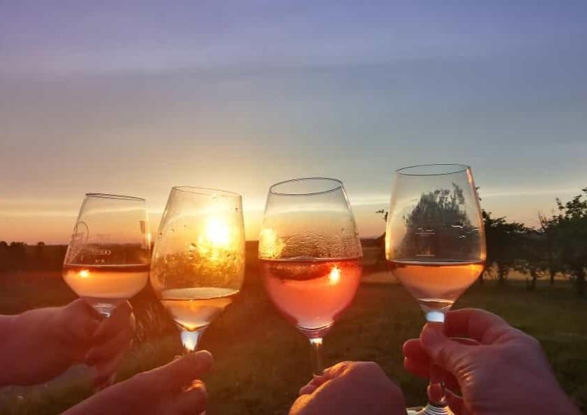 Weingut Will Und Wuerz Lemberger Διαμέρισμα Schwaigern Εξωτερικό φωτογραφία