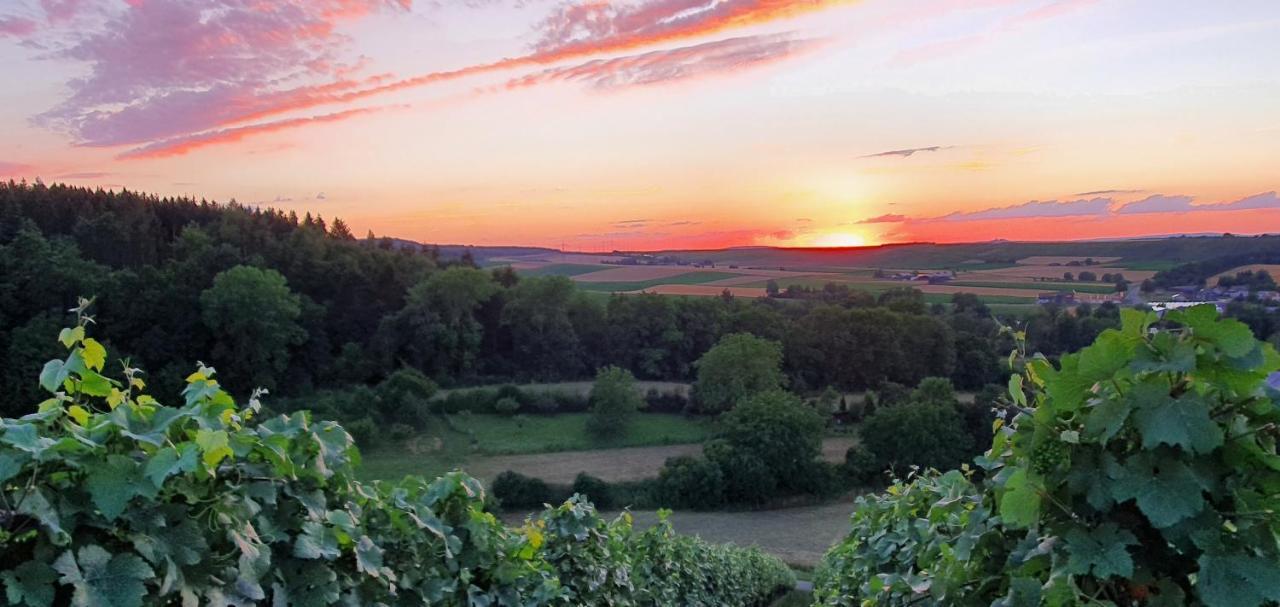 Weingut Will Und Wuerz Lemberger Διαμέρισμα Schwaigern Εξωτερικό φωτογραφία
