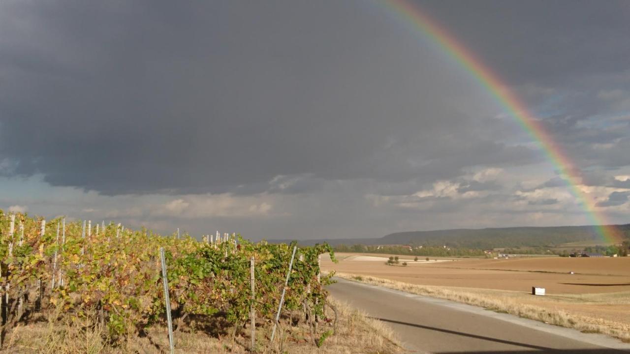 Weingut Will Und Wuerz Lemberger Διαμέρισμα Schwaigern Εξωτερικό φωτογραφία